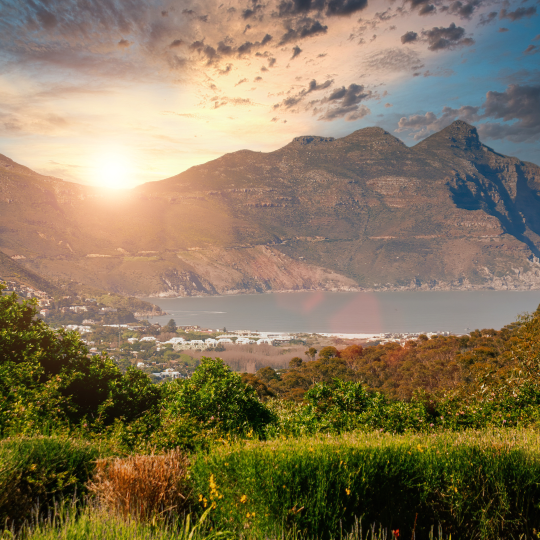 South Africa's Safari Symphony: Unveiling the Top Safari Experience