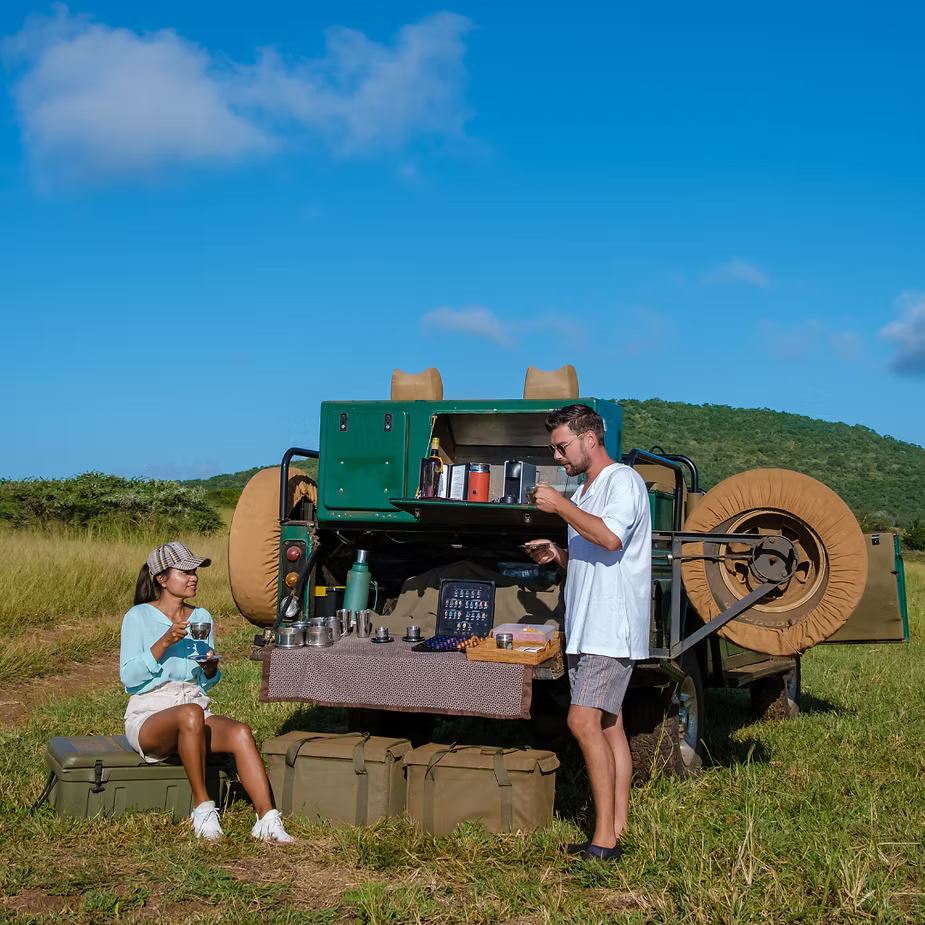 The Remarkable Benefits of Going on a Safari or Tour