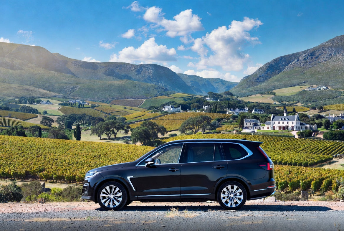 Cape Winelands Private Wine Tour from Cape Town